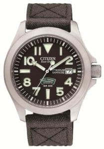 Citizen web