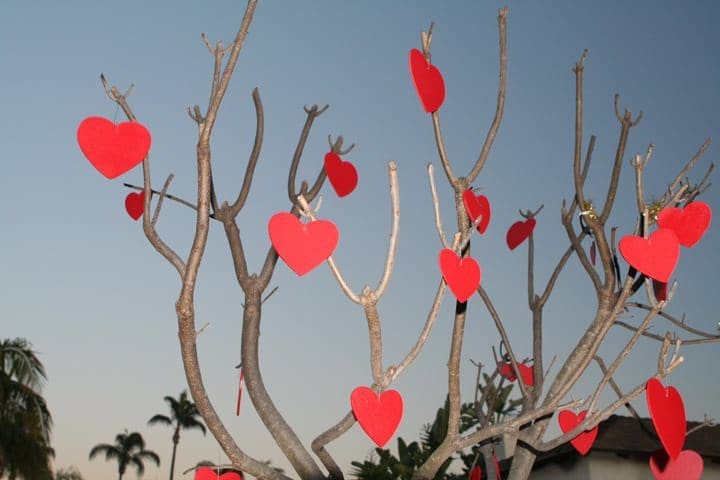Don’t let the threat of shoplifters spoil Valentine’s Day businessDon’t let the threat of shoplifters spoil Valentine’s Day business
