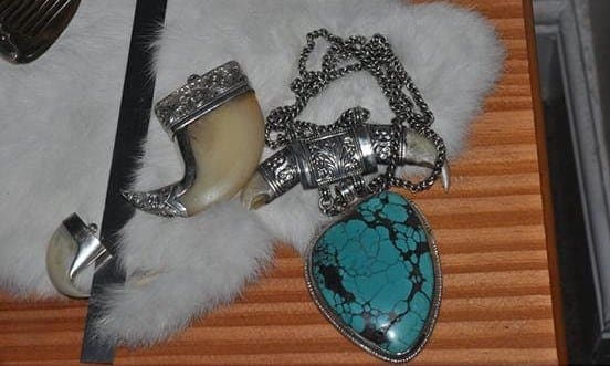 Jeweller sentenced over endangered species
