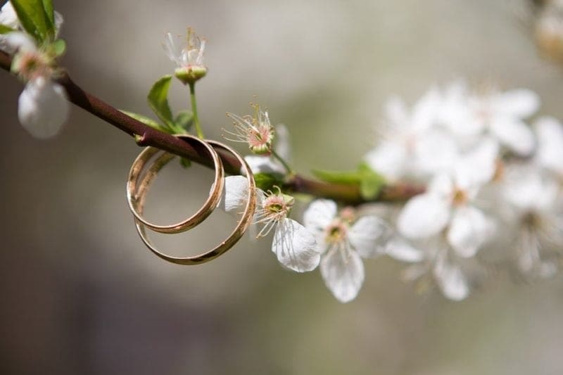 Gay couple accuses high street jeweller of discrimination after not having ‘hers and hers’ rings