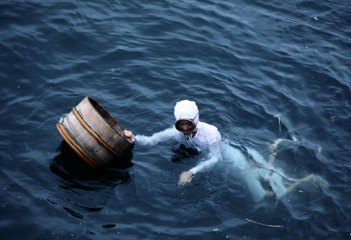 Pearl farmers and the climate change fight