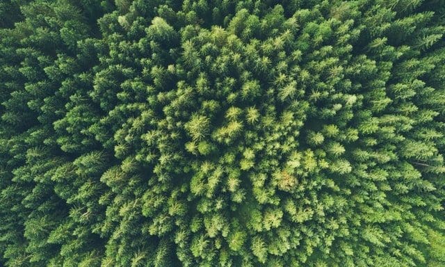 RJC urges industry leaders to adopt sustainable change