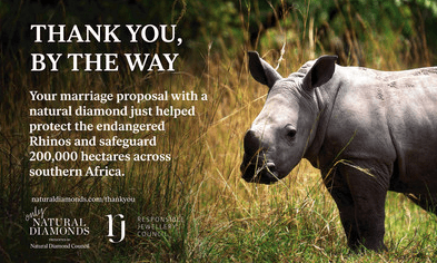 RJC partners with Natural Diamond Council on global sustainability campaign