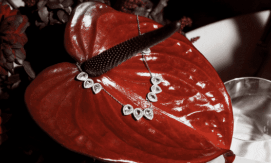 New brand Anjna London launches with candlelit event